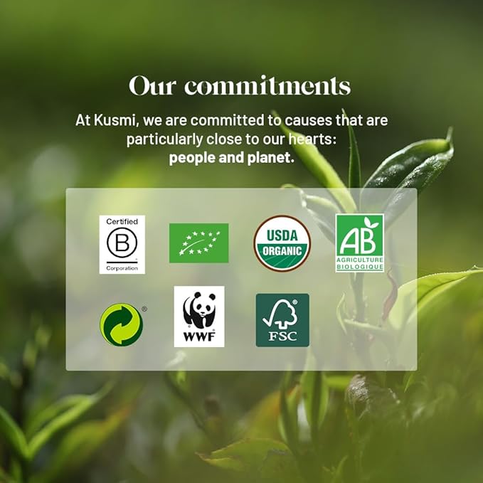 Kusmi Tea - BB Detox + Detox - Set of 2 boxes - 2 Green Tea, Mate, Herbal and Lemon and Grapefruit Flavored Blends - To be enjoyed Hot or as Iced Tea - 2x20 Tea Bags