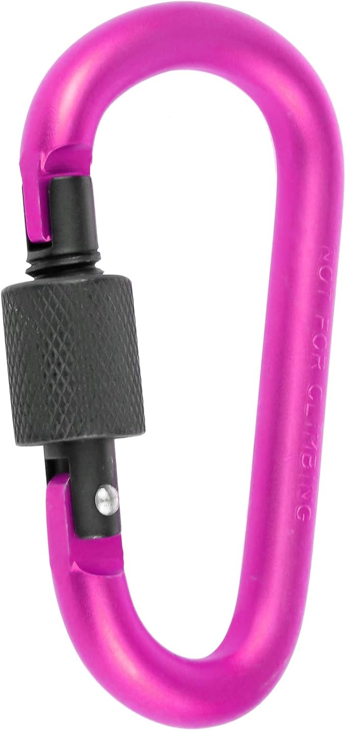 10 Pack Aluminum D Ring Key Rings Hiking Clips Locking Carabiner for Hiking Camping Fishing and Outdoor Use，Clips with Screw Gate Multicolored