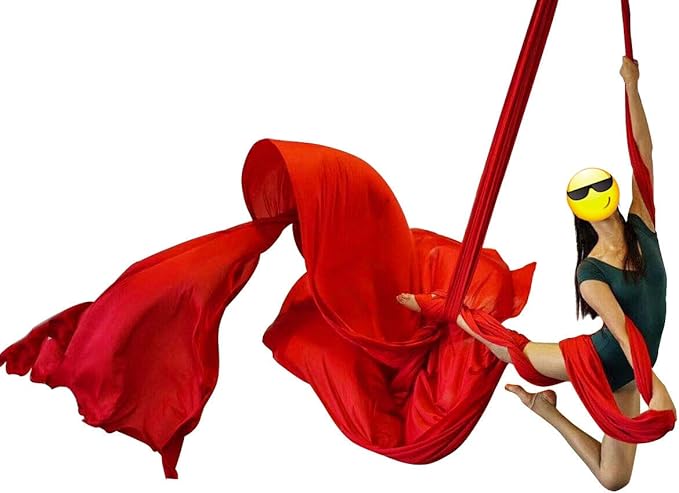 DASKING Aerial Silks Starter Kit - Durable 11Yards of Aerial Yoga Hammock with Hardware, Aerial Swing for Acrobatic Flying Yoga & All Levels (Aerial Rigging Point Up to 14ft)