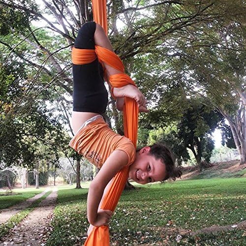 DASKING Aerial Silks Starter Kit - Durable 11Yards of Aerial Yoga Hammock with Hardware, Aerial Swing for Acrobatic Flying Yoga & All Levels (Aerial Rigging Point Up to 14ft)