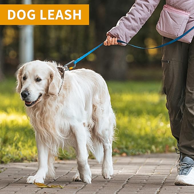 SOB Auto Locking Climbing Carabiner Clips,Heavy Duty Asymmetrical Carabiner Connector Used for Rappelling Gear Rescue Outdoor Projects Dog Leash