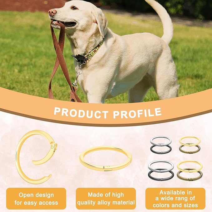 10Pack 2" Large Round Carabiner Clips, Metal Spring O Rings for Organizer Key Rings, Paracord Keychain Lanyard, Pet Chains, Purse Hardware, Key Snap Hooks DIY Accessory (Silver)