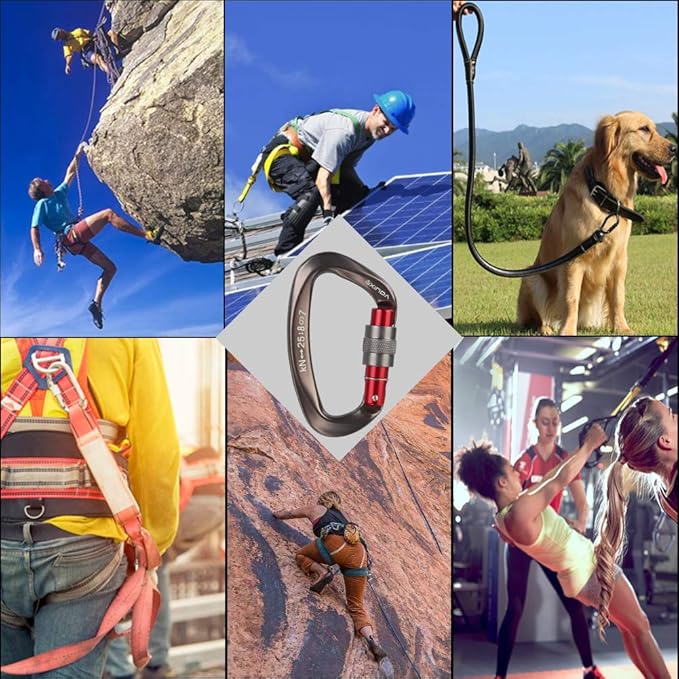 Screwgate Locking Carabiner Clip - Professional Rock Climbing Carabiner Screw Lock,Heavy Duty Carabiners for Climbing,Mountaineer,Hammock,Camping,Outdoor Equipment