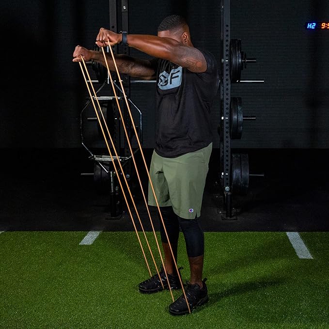 Serious Steel Fitness 32" Resistance Training Bands (Portable Exercise Band System Training Bands- Great for Individuals Under 5'10")