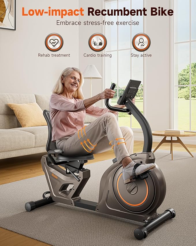 Niceday Recumbent Exercise Bike, Recumbent Bike for Home, Recumbent Stationary Bike 400LBS Weight Capacity, Magnetic Recumbent Bike with Smart APP, LCD Monitor, Heart Rate Handle
