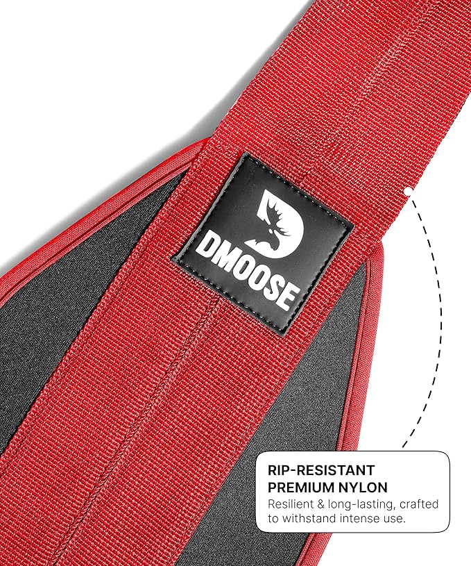 DMoose Fitness Hanging Ab Straps for Pull Up Bar & Core Strength Training - Soft Padded Exercise Straps for Ab Swing & Leg Raises, Hang Bar Strap with 2 Steel Carabiners - Abs Equipment for Home & Gym